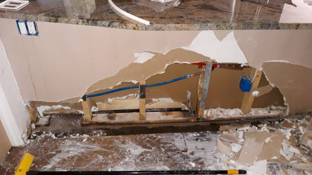 Best Basement water damage restoration  in Warren Park, IN